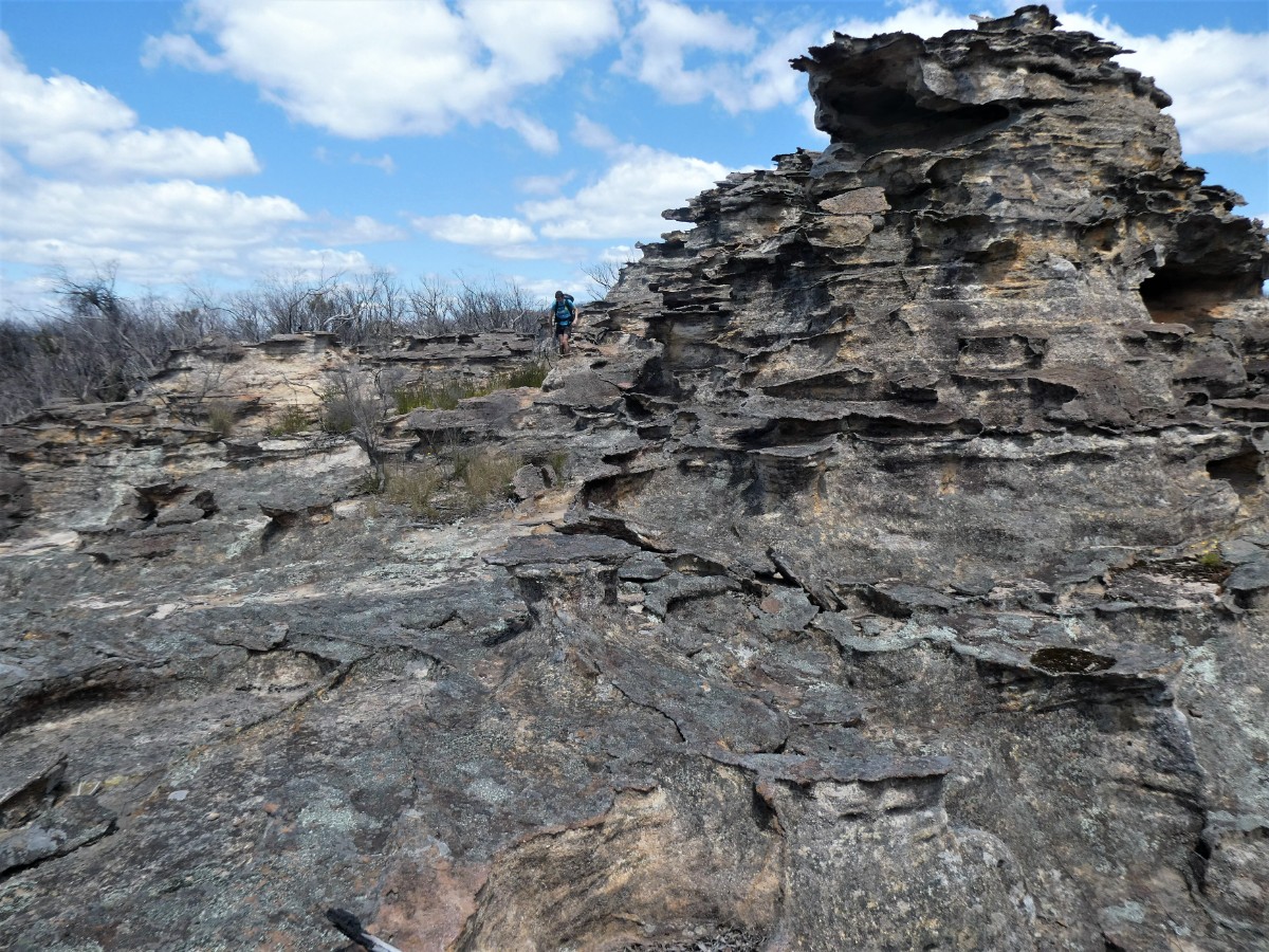 Morning Tea on the Pagodas